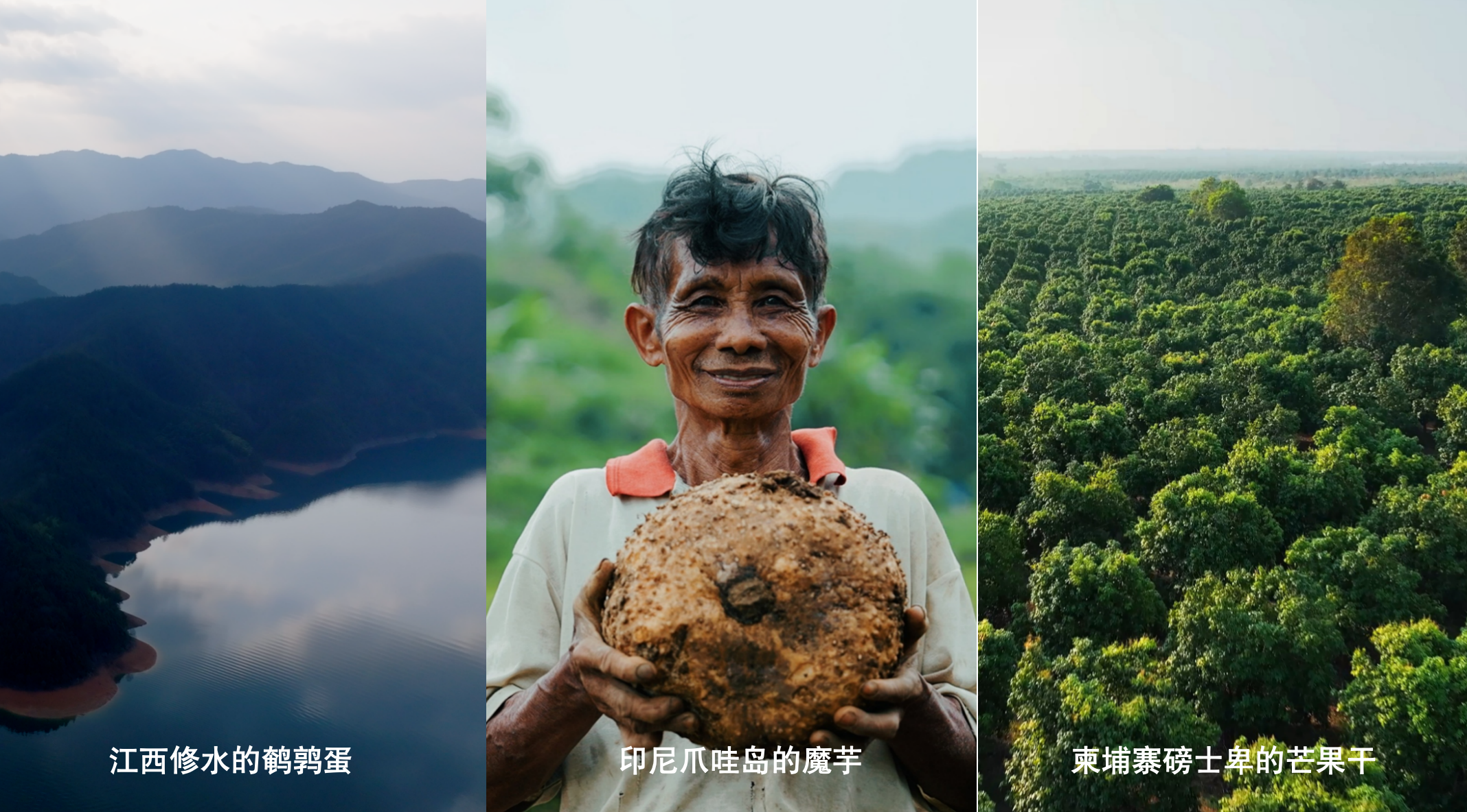 新春家書(shū)｜根深則葉茂，心定則路遠(yuǎn)