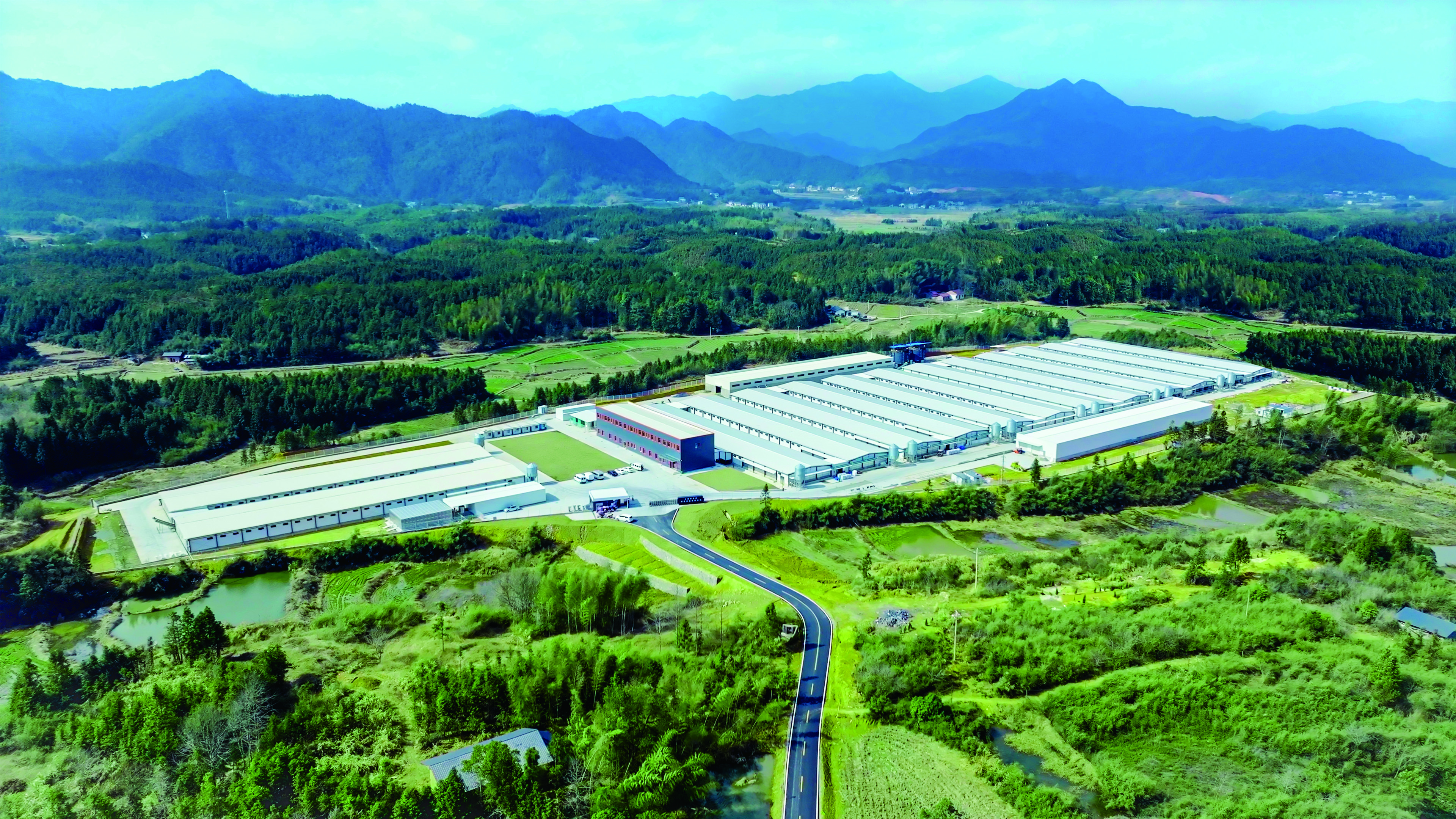 新春家書(shū)｜根深則葉茂，心定則路遠(yuǎn)